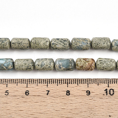 Natural Variscite Beads Strands G-N346-01B-14-1
