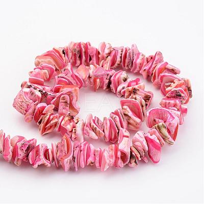 Natural Shell Bead Strands BSHE-P010-M-1