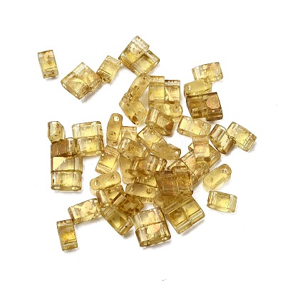 2-Hole Transparent Glass Seed Beads SEED-S023-30B-24-1