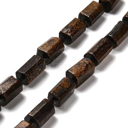 Natural Bronzite Beads Strands G-K245-I15-01-1