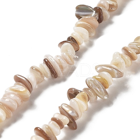 Natural Freshwater Shell Beads Strands G-M205-85B-1