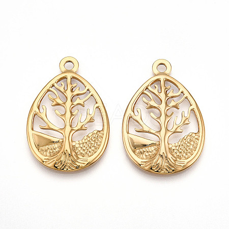 304 Stainless Steel Pendants STAS-N109-82G-1