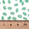 FGB Frosted Transparent Glass Seed Beads SEED-N013-06A-09-4