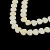 Heart Natural Sea Shell Beads Strands X-SSHEL-F290-07-1