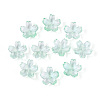 Baking Paint Transparent Glass Bead Caps DGLA-N014-06A-04-1