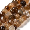 Natural Agate Beads Strands G-H295-B01-13-2