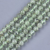 Natural Prehnite Beads Strands X-G-S333-8mm-032-1