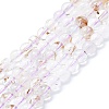 Natural Rutilated Quartz Beads Strands G-K245-A04-02-1