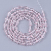 Transparent Glass Beads Strands GLAA-T009-004G-2