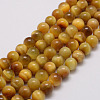 Natural Tiger Eye Bead Strands G-P230-08-E-12mm-1