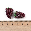 Handmade Lampwork Beads LAMP-U004-07N-3