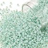 TOHO Round Seed Beads SEED-TR11-PF2118-1