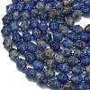 Natural Sodalite Beads Strands G-K389-D10-01-3