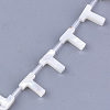 Natural Sea Shell Beads SHEL-T012-60T-2