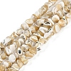 Natural Trochus Shell Beads Strands BSHE-H109-10-1