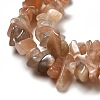 Natural Sunstone Chip Beads Strands X-G-M205-15A-4