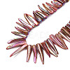 Electroplated Natural Freshwater Shell Beads SHEL-N026-197E-3