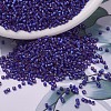 MIYUKI Delica Beads X-SEED-J020-DB0696-1