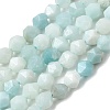 Natural Flower Amazonite Beads Strands G-Z119-A09-01-3