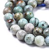 Natural Chrysocolla Beads Strands G-R477-6mm-3
