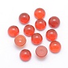 Natural Carnelian Cabochons X-G-P393-R03-6mm-1