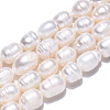 Natural Cultured Freshwater Pearl Beads Strands PEAR-N012-08E-4