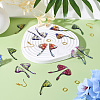 DIY Brass & Epoxy Resin Butterfly Wing Dangle Earring Jewelry Kits DIY-TA0010-65B-7