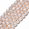 Natural Cultured Freshwater Pearl Beads Strands PEAR-S017-004-3