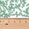 TOHO 8/0 Round Beads SEED-TR08-2119-4