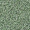 MIYUKI Delica Beads SEED-JP0008-DB0413-3