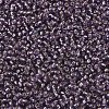 MIYUKI Round Rocailles Beads X-SEED-G007-RR0024-3
