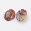 Natural Multi-Color Agate Flat Back Cabochons G-G741-22x30mm-08-3