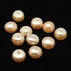 Grade AA Natural Cultured Freshwater Pearl Beads PEAR-D001-10-1AA-01-1