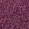 TOHO 11/0 Round Beads X-SEED-TR11-2218-2