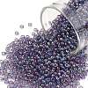 TOHO 11/0 Round Beads SEED-JPTR11-0166D-1