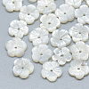Natural White Shell Beads SSHEL-S260-010-1
