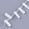 Natural Sea Shell Beads SHEL-T012-60I-2