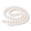 Natural Cultured Freshwater Pearl Beads Strands PEAR-I007-07O-04A-3