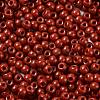 Baking Paint Glass Seed Beads SEED-H002-I-B510-3