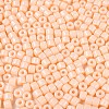 Opaque Baking Paint Glass Seed Beads X-SEED-T008-02C-3