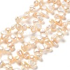 Natural Cultured Freshwater Pearl Beads Strands PEAR-J007-30-1