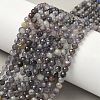 Natural Iolite Beads Strands G-G188-B04-06A-5