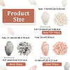   3 Strands 3 Styles Natural Sea Shell Conch Beads Strands SHEL-PH0001-44-4
