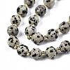 Natural Dalmatian Jasper Beads Strands X-G-N326-100-02-3