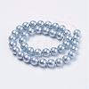 Wrinkle Textured Shell Pearl Beads Strands BSHE-E016-16mm-M-2