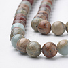 Natural Aqua Terra Jasper Strands G-S150-50-10mm-3