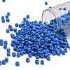 TOHO 6/0 Round Beads SEED-XTR06-0043D-1