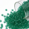 TOHO Round Seed Beads SEED-JPTR08-0072F-1