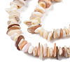 Natural Freshwater Shell Beads Strands SHEL-S278-071D-3