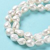 Natural Cultured Freshwater Pearl Beads Strands PEAR-Z002-06-4